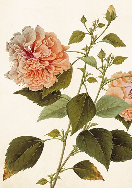 Sköna Ting doble kort