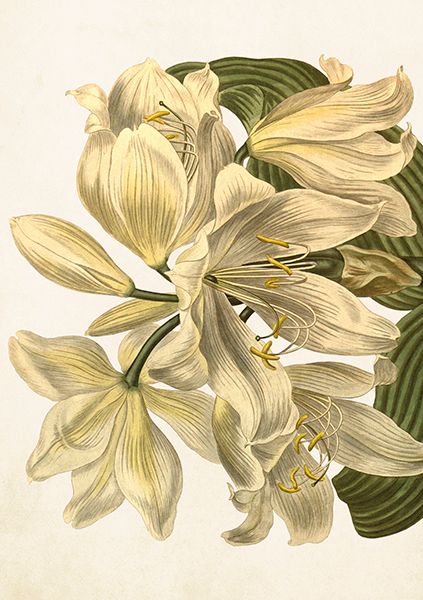 Sköna Ting doble kort