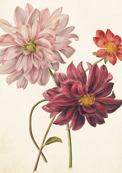 Sköna Ting doble kort