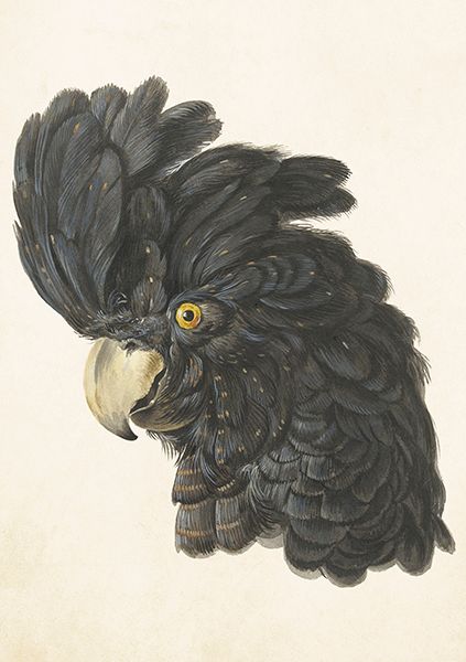 Sköna Ting doble kort