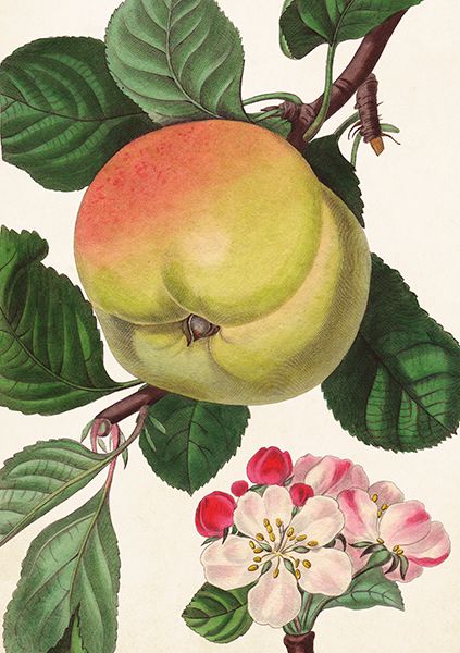 Sköna Ting doble kort