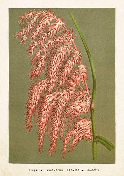 Sköna Ting doble kort