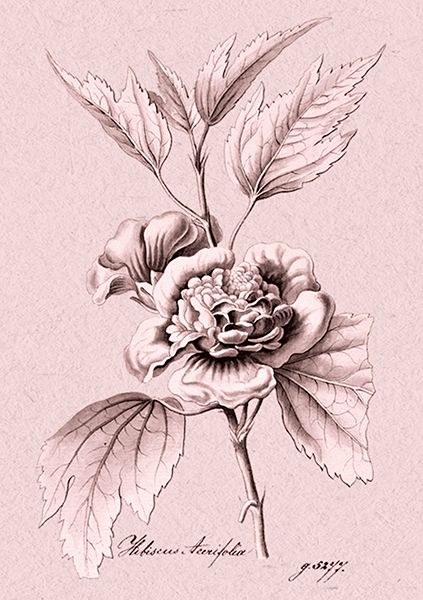 Sköna Ting doble kort 12-pakk