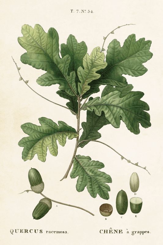 Sköna Ting enkle kort 25-pakk