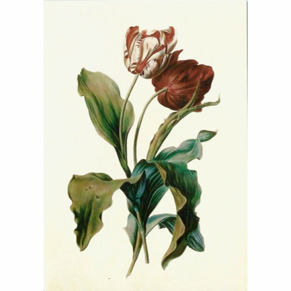 Sköna Ting doble kort 12-pakk