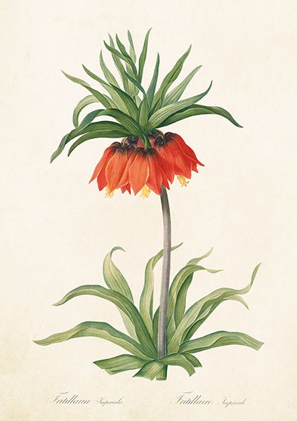 Sköna Ting doble kort 12-pakk