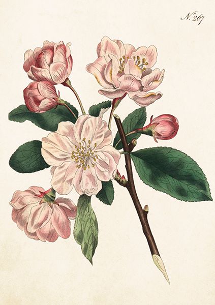 Sköna Ting doble kort