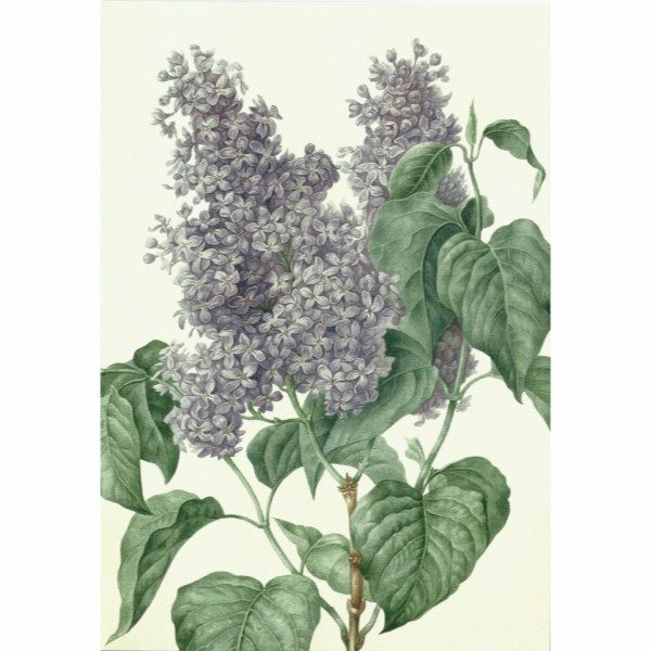 Sköna Ting doble kort 12-pakk