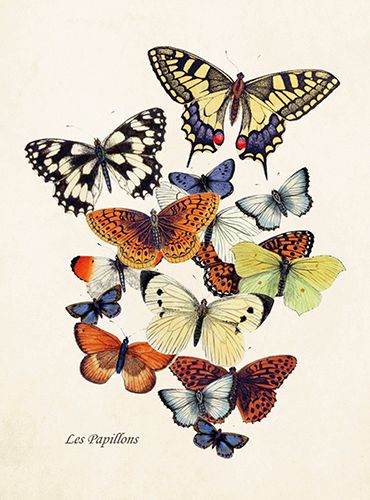 Sköna Ting medium doble 12-pakk