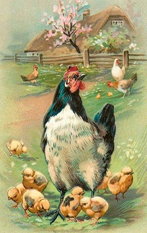 Sköna Ting minikort enkle 25-pakk