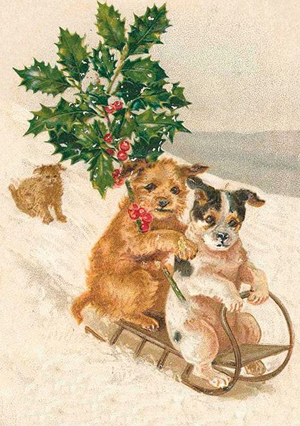 Sköna Ting doble kort