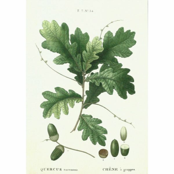 Sköna Ting doble kort 12-pakk