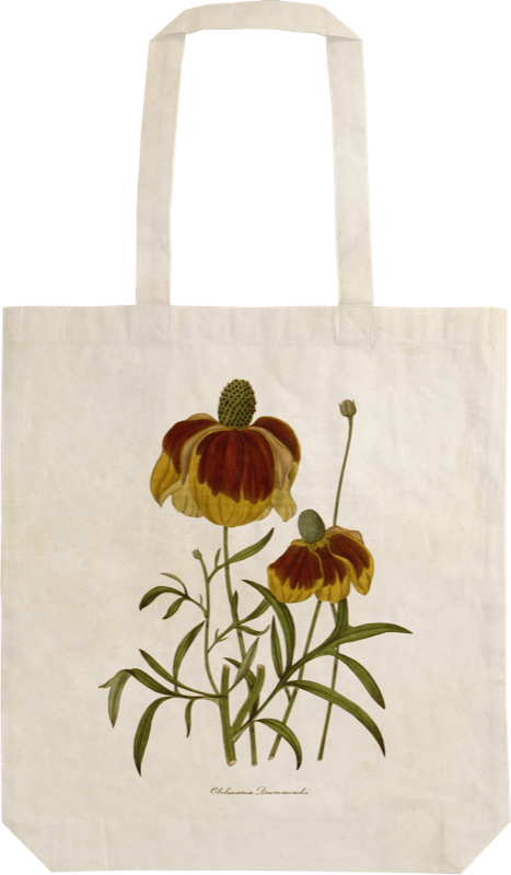 Handlenett av bomull