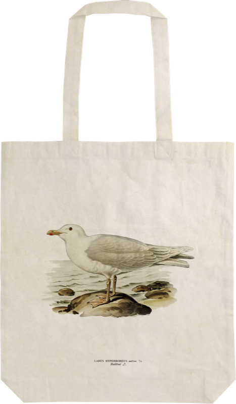 Handlenett av bomull