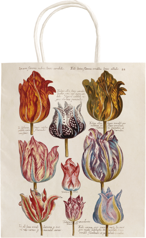 stbag gavepose papir