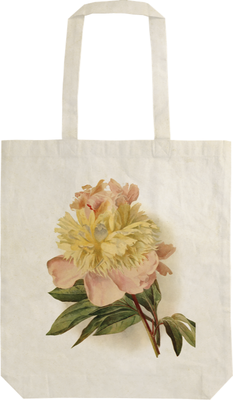 Handlenett av bomull