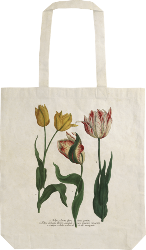 Handlenett av bomull