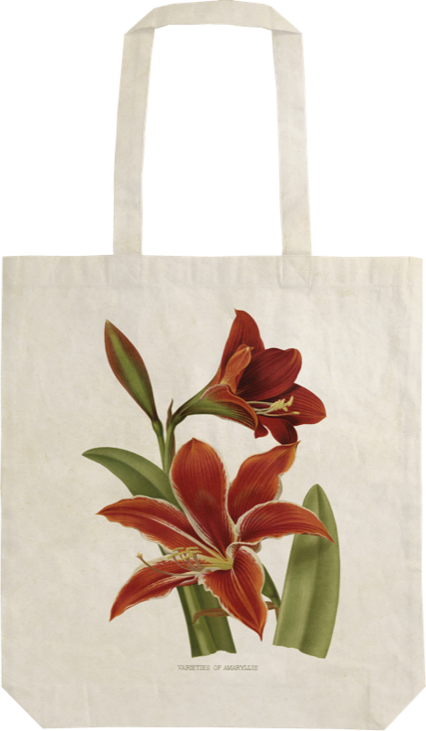 Handlenett av bomull