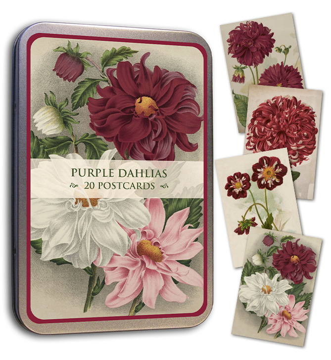 Kortmappe i metall ASSORTERT