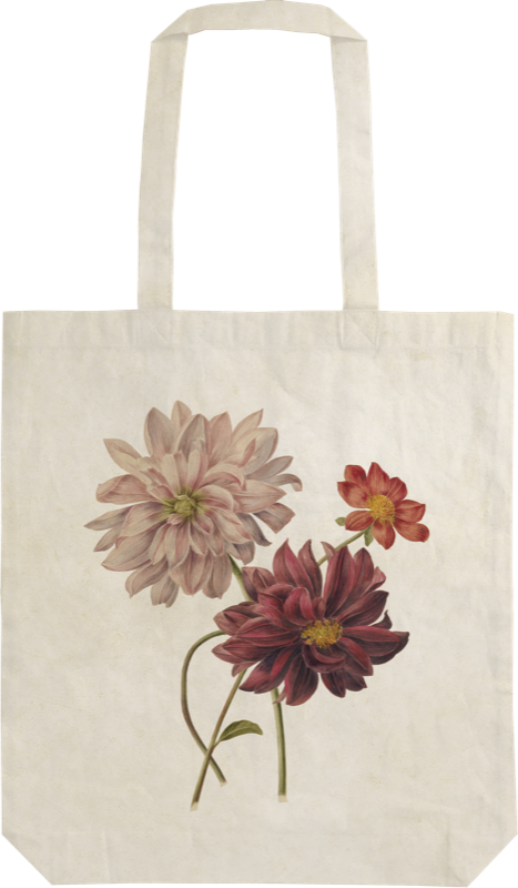 Handlenett av bomull