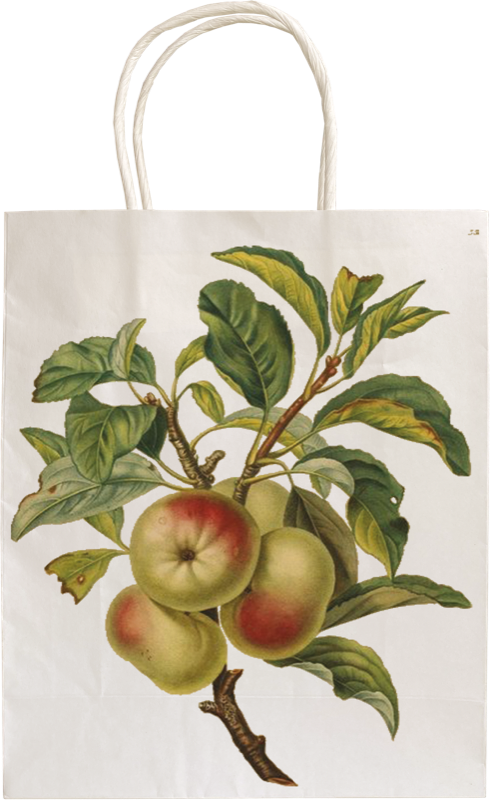 stbag gavepose papir