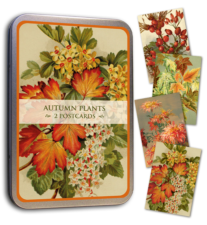 Kortmappe i metall ASSORTERT