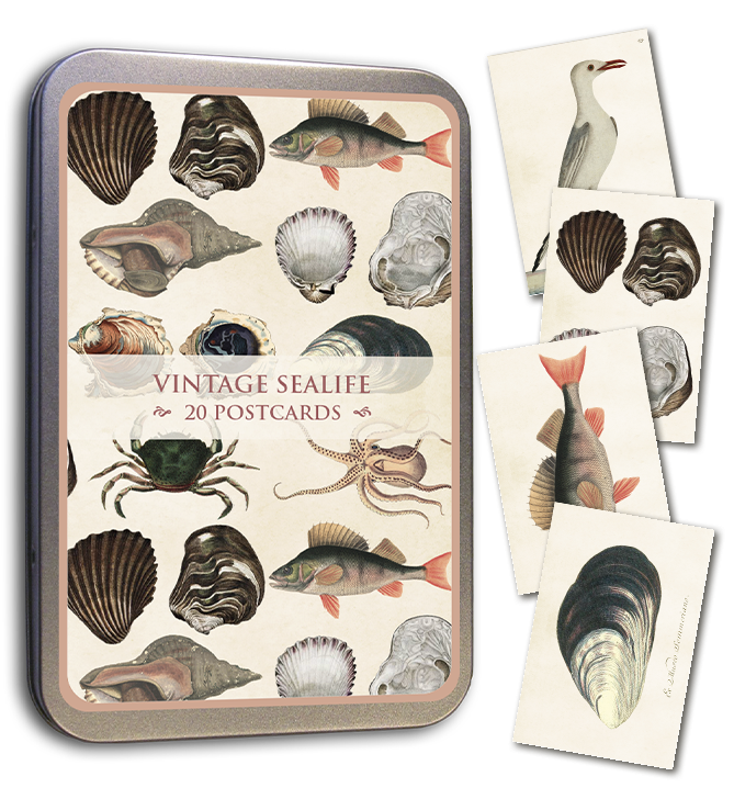 Kortmappe i metall ASSORTERT