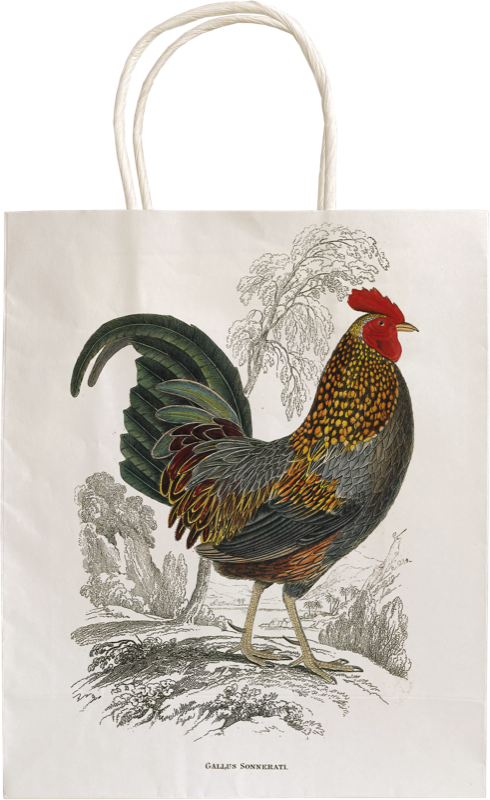 stbag gavepose papir