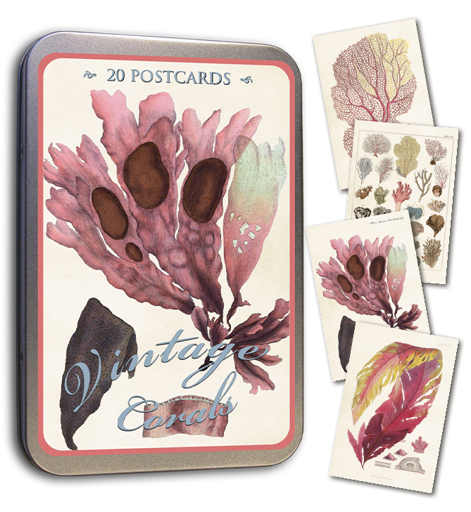 Kortmappe i metall ASSORTERT