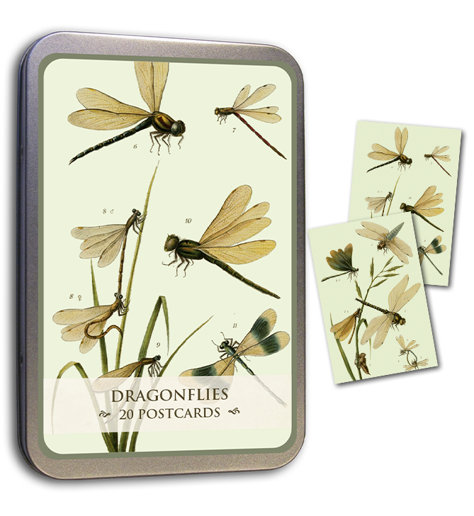 Kortmappe i metall ASSORTERT