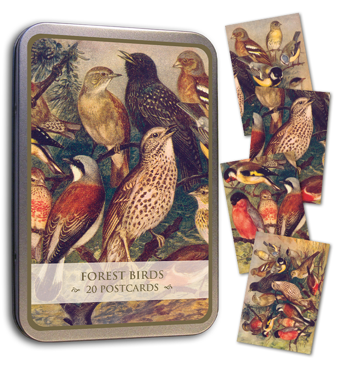 Kortmappe i metall ASSORTERT