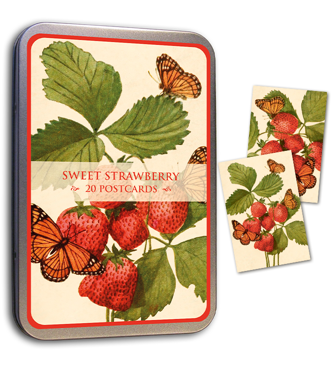 Kortmappe i metall ASSORTERT