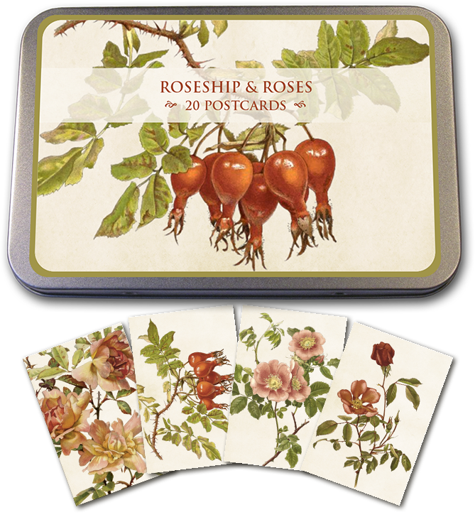 Kortmappe i metall ASSORTERT