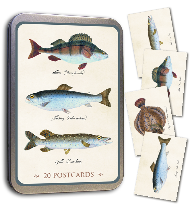 Kortmappe i metall ASSORTERT