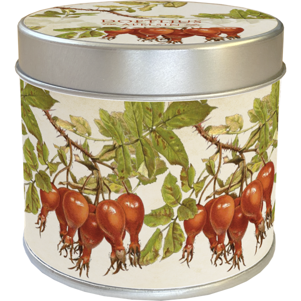 Duftlys Appelsin 6-pakk