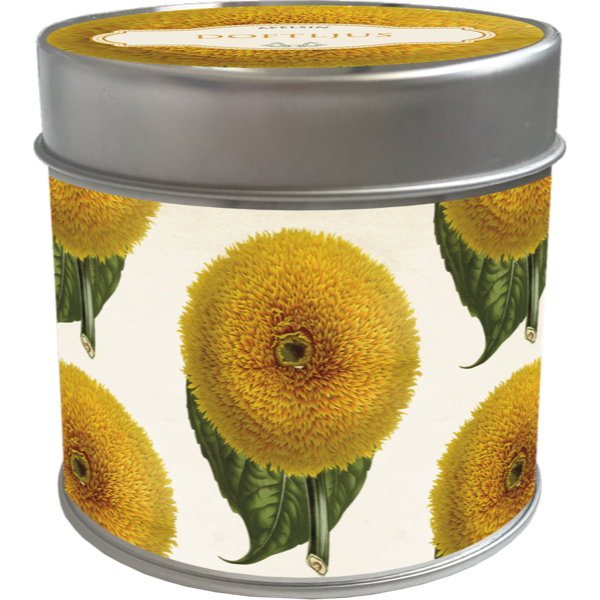 Duftlys Appelsin 4-pakk