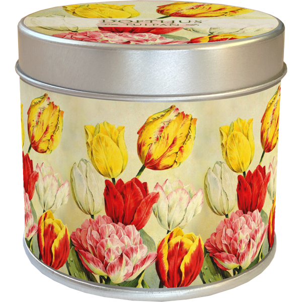 Duftlys Tulipan