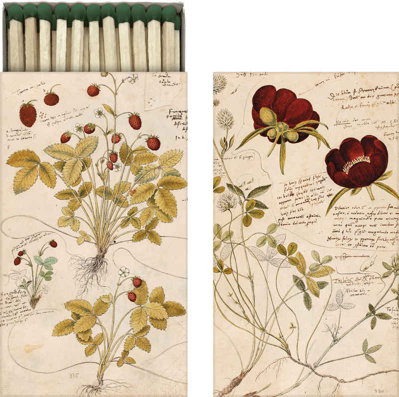 Fyrstikkesker 10-pakk