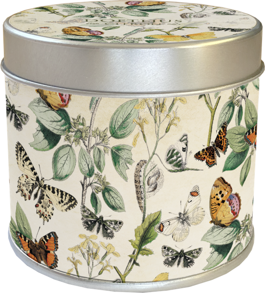 Duftlys Sitron 6-pakk