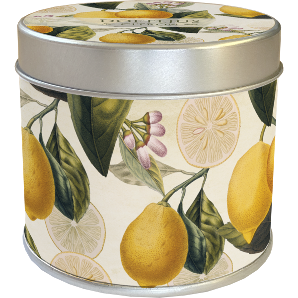 Duftlys Sitron 6-pakk