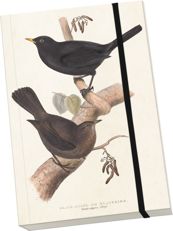 Sköna Ting Notatbok ulinjert