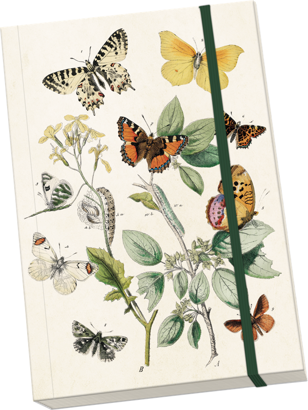 Sköna Ting Notatbok ulinjert