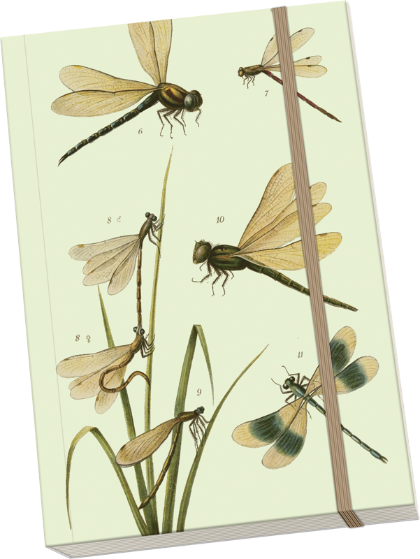 Sköna Ting Notatbok ulinjert