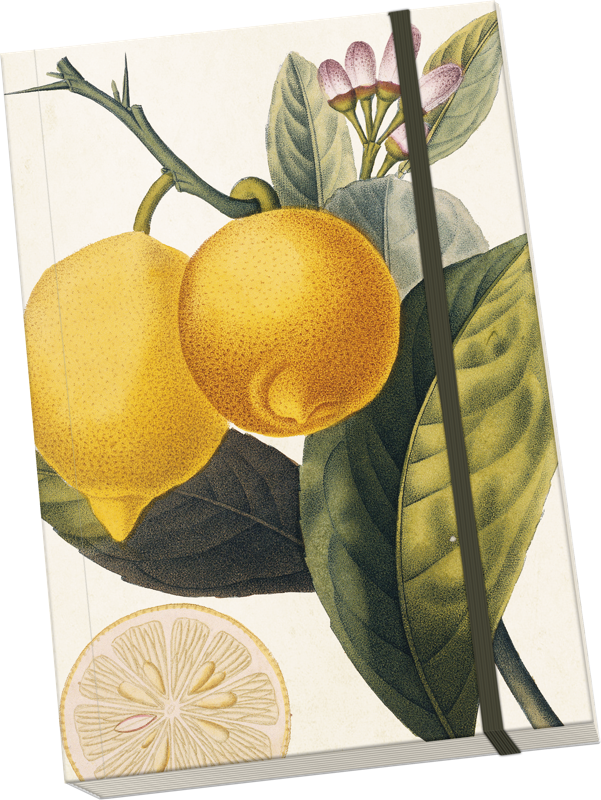 Sköna Ting Notatbok ulinjert