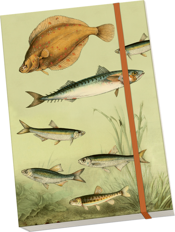 Sköna Ting Notatbok ulinjert