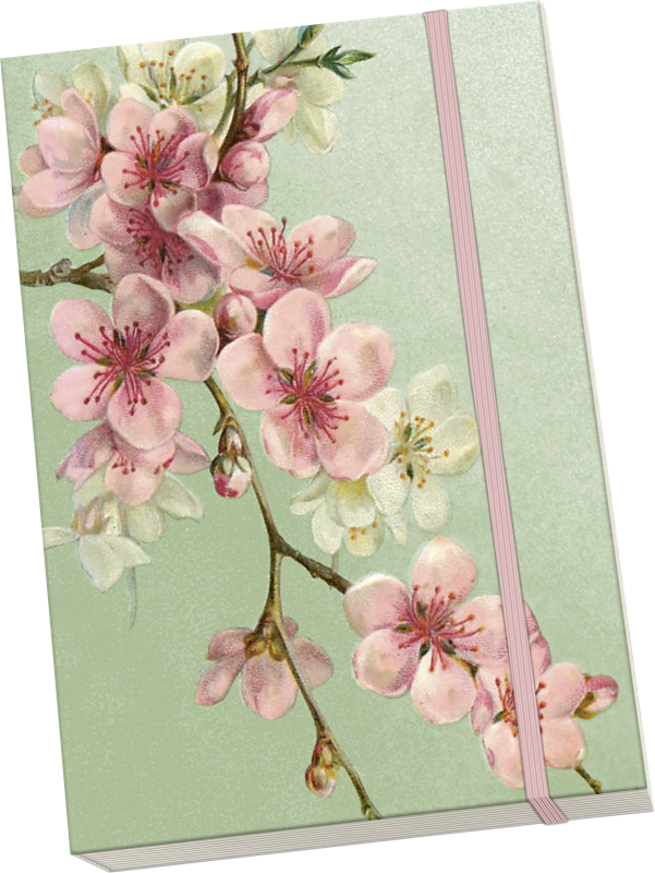 Sköna Ting Notatbok ulinjert