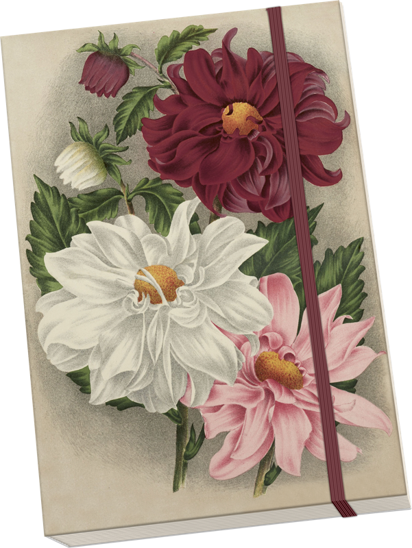 Sköna Ting Notatbok ulinjert