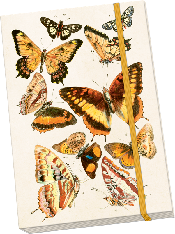 Sköna Ting Notatbok ulinjert