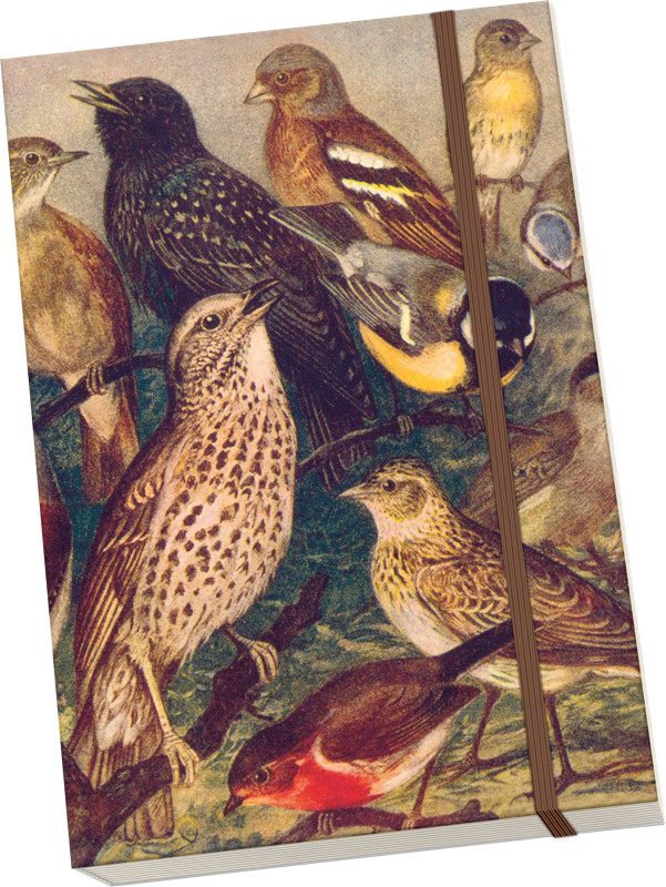 Sköna Ting Notatbok ulinjert