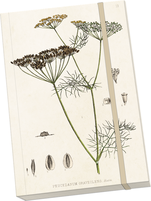 Sköna Ting Notatbok ulinjert